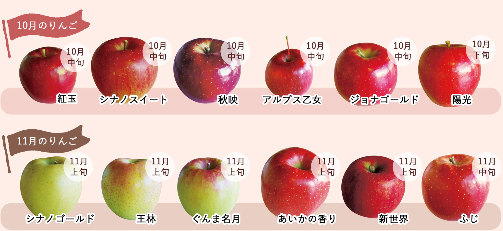 りんご画像