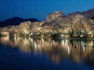 夜