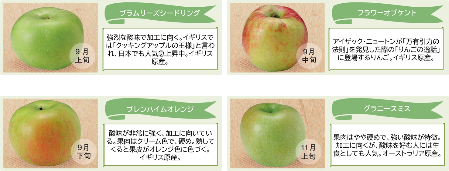 各リンゴの詳細説明の画像