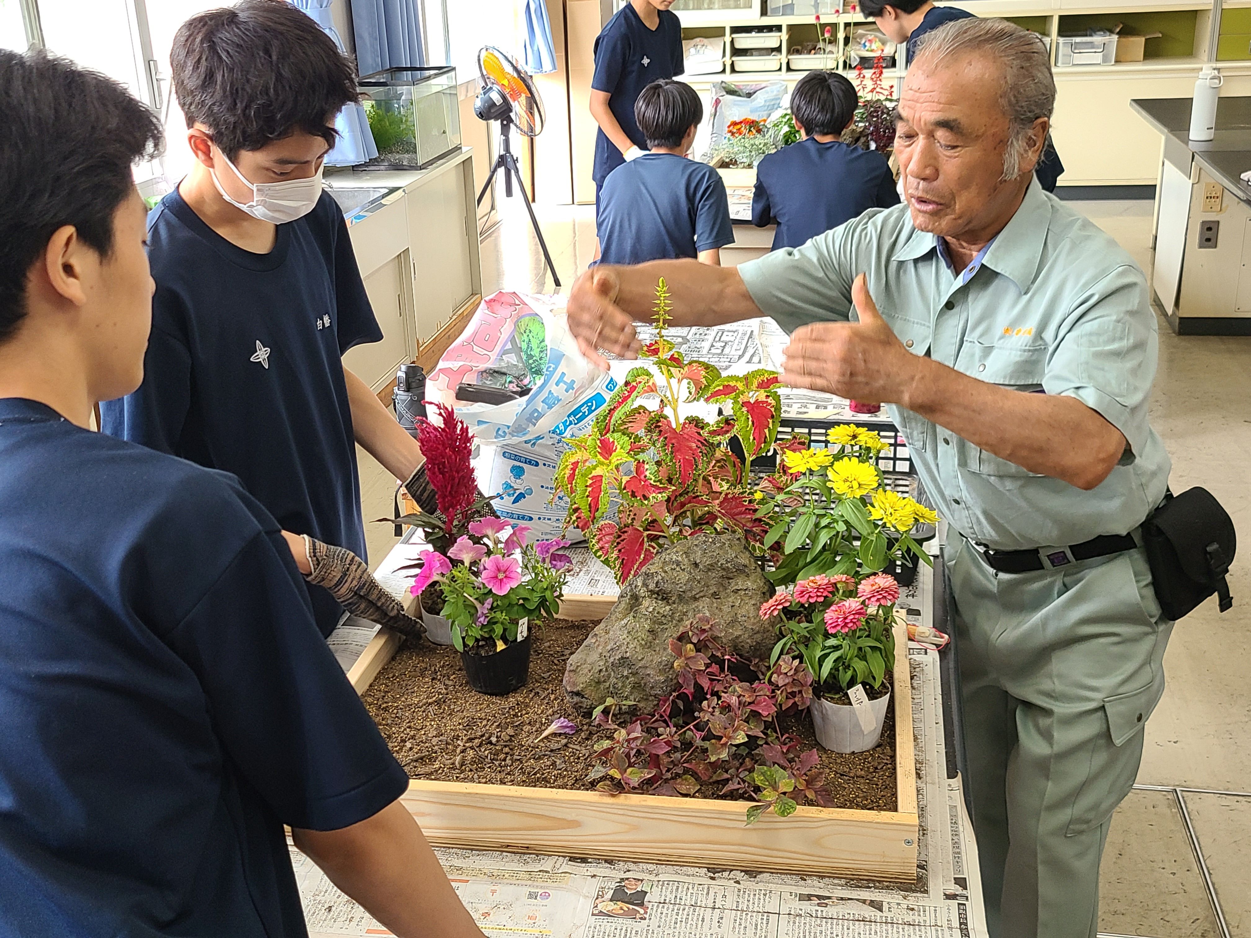 造園：ミニチュア庭園作りの画像1