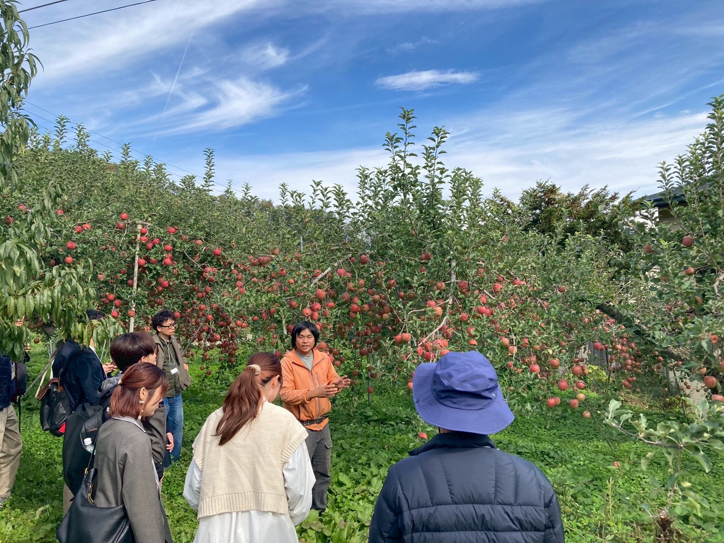 りんご農園でりんごの木の前に並ぶ参加者たち