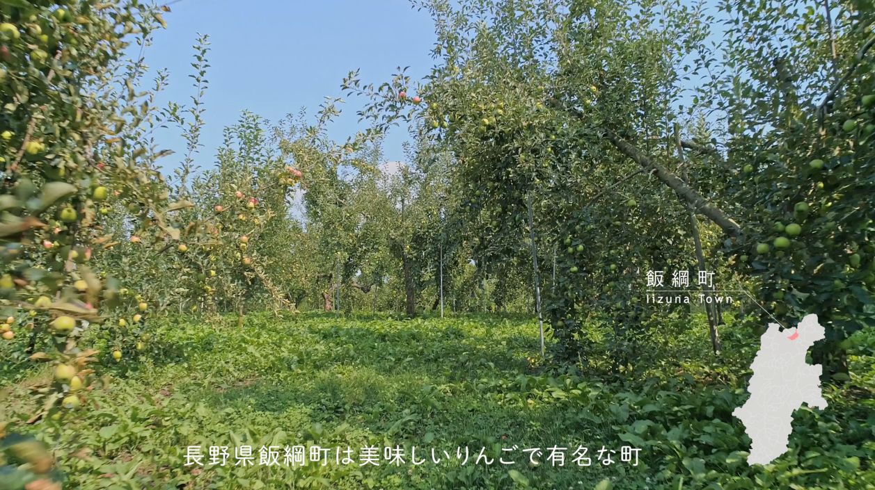 りんご畑の画像です