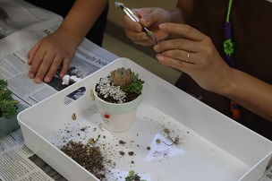 寄せ植え体験の写真