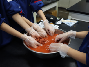 天然土顔料 染色体験の様子2