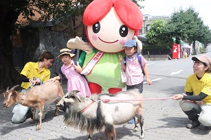 フェスティバルの様子