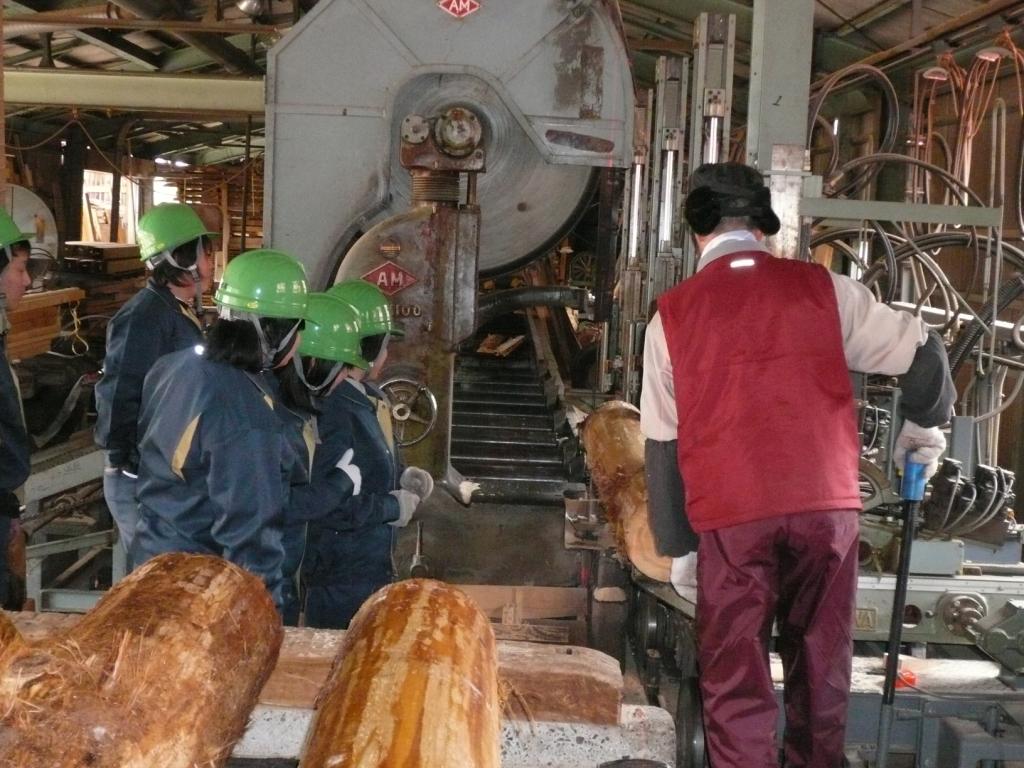 製材実習