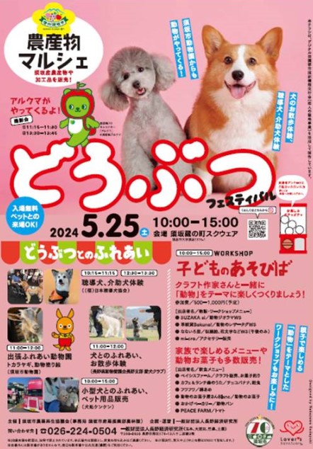 526どうぶつ